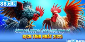 Sảnh ICF 88CLB - Sân Chơi Chọi Gà Kịch Tính Nhất 2025