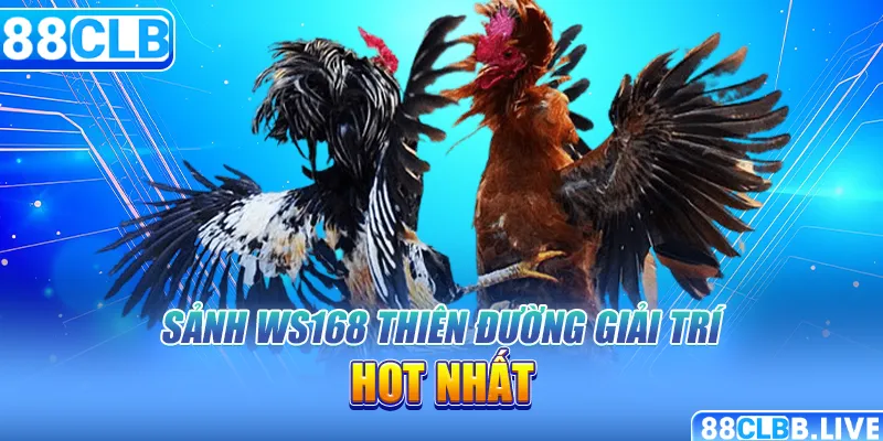 Sảnh Ws168 thiên đường giải trí hot nhất