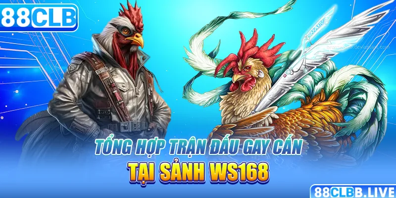 Tổng hợp trận đấu gay cấn tại sảnh Ws168