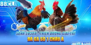 Sảnh SV388 - Thiên Đường Giải Trí Đá Gà Số 1 Châu Á