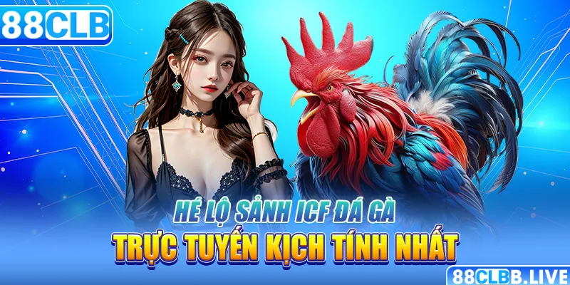 Hé lộ sảnh ICF đá gà trực tuyến kịch tính nhất