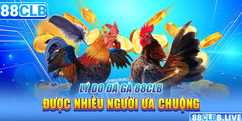 Lý do đá gà 88CLB được nhiều người ưa chuộng