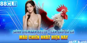 Sảnh Digmaan 88CLB - Sàn Đấu Đá Gà Máu Chiến Nhất Hiện Nay